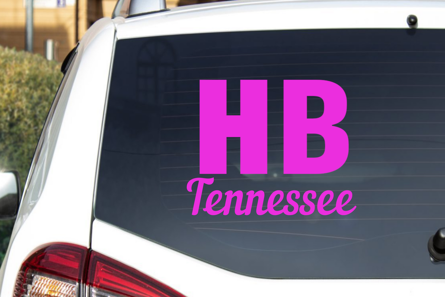 HB and your State - HOLLER BOYS CreekSquad Decal CNC cut Decal Vinyl Sticker ~ Oracle 651