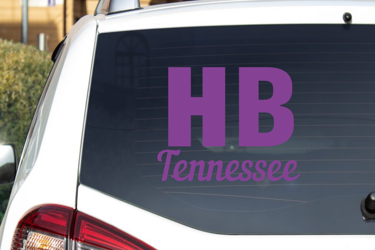 HB and your State - HOLLER BOYS CreekSquad Decal CNC cut Decal Vinyl Sticker ~ Oracle 651