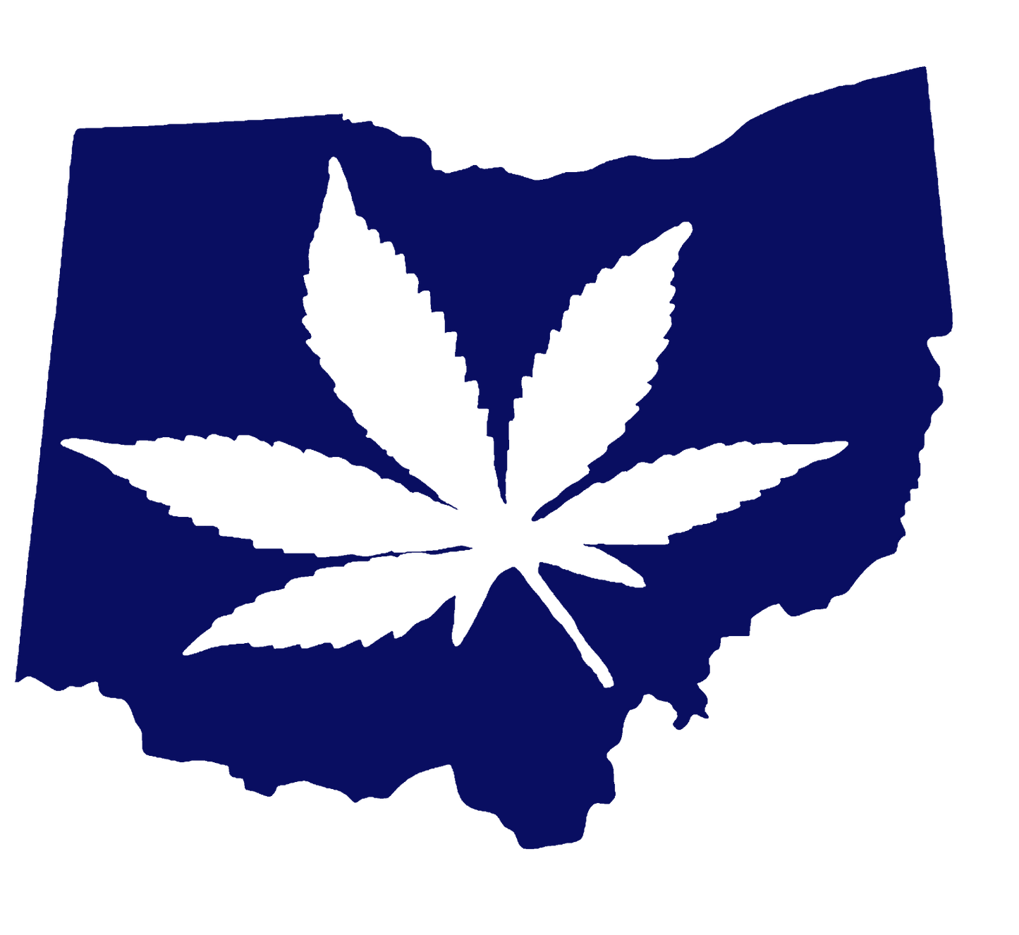 OHIO W33D CNC cut Decal Vinyl Sticker -Pic from multiple colors! O651