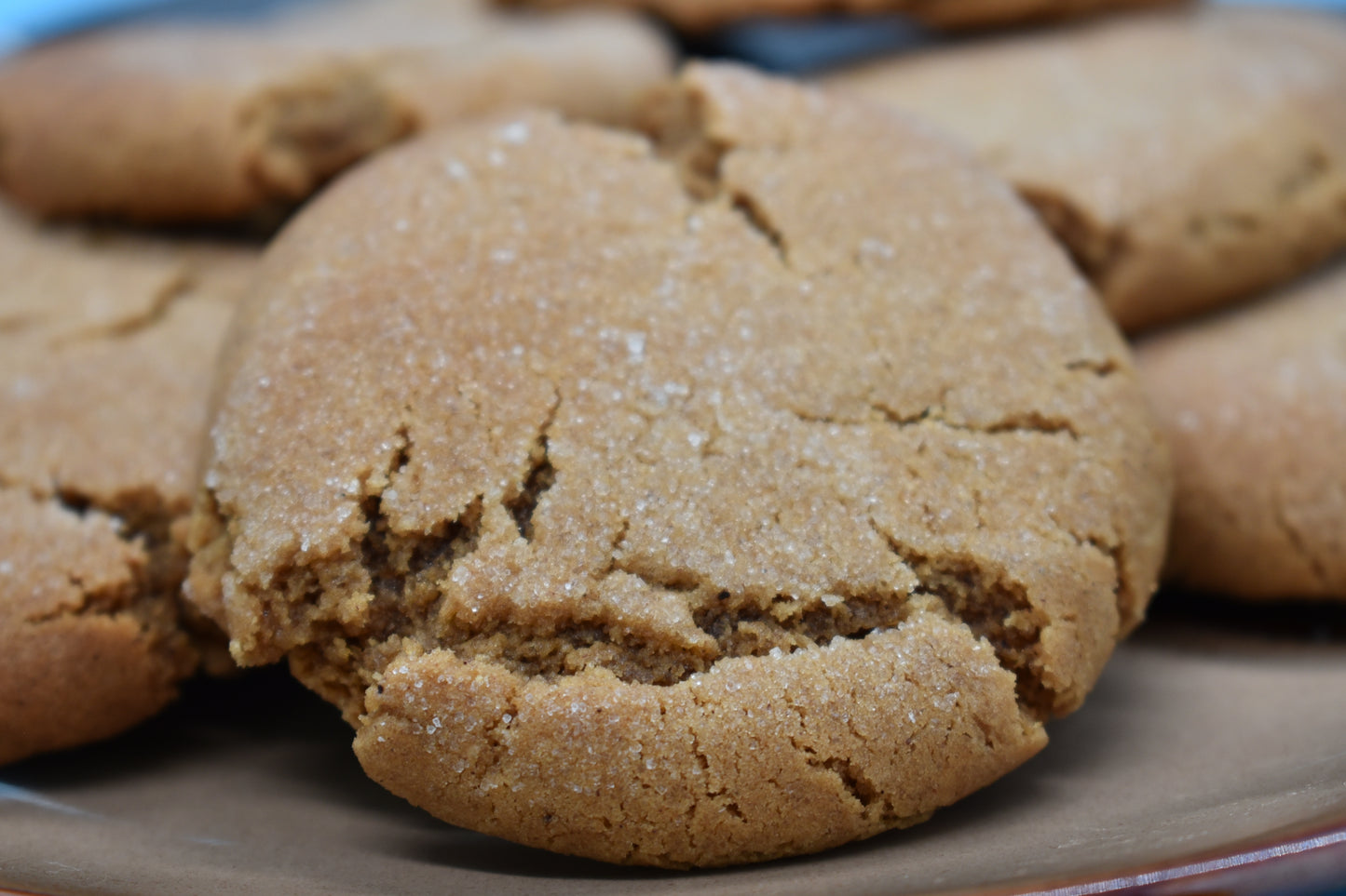 Soft Molasses Cookies